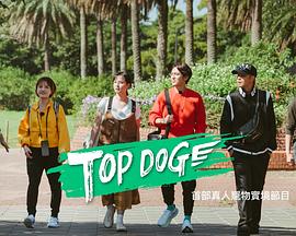 桔子视频《TOP DOG》免费在线观看