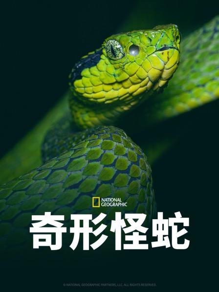 榴莲视频《奇形怪蛇》免费在线观看